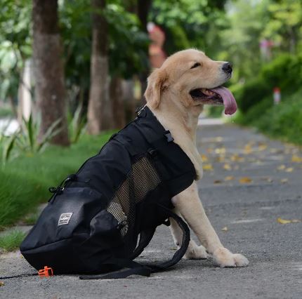 Bags